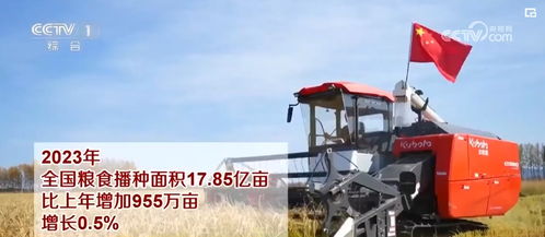 糧油豐供給足，谷物種植為經濟持續恢復向好提供堅實支撐